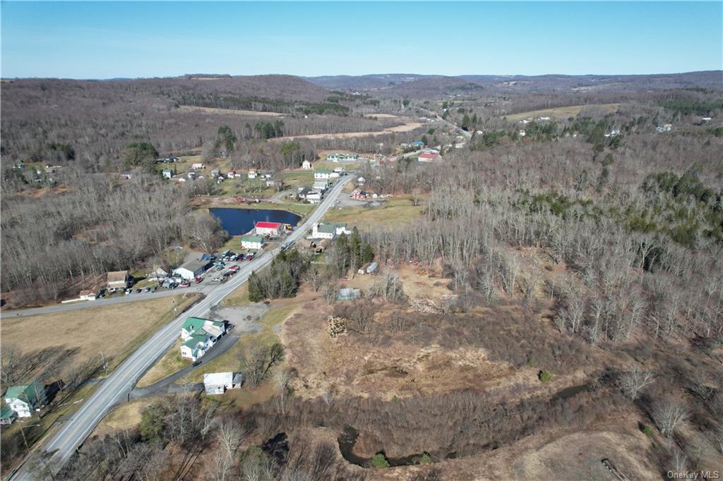 Mineral Springs Road White Sulphur Springs, NY 12787 - Photo 24 of 34