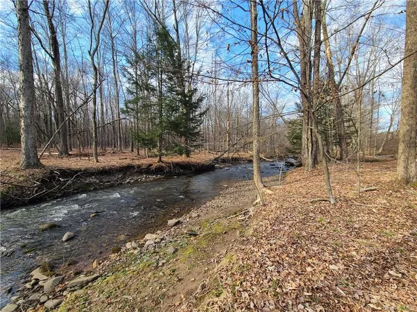 $294,500 | Mineral Springs Road, White Sulphur Springs, NY 12787