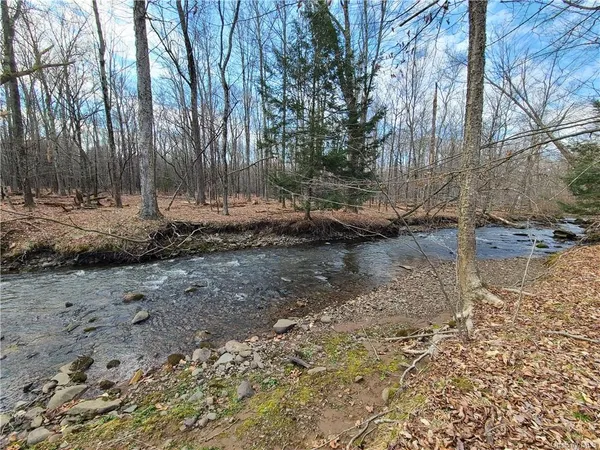 $294,500 | Mineral Springs Road, White Sulphur Springs, NY 12787