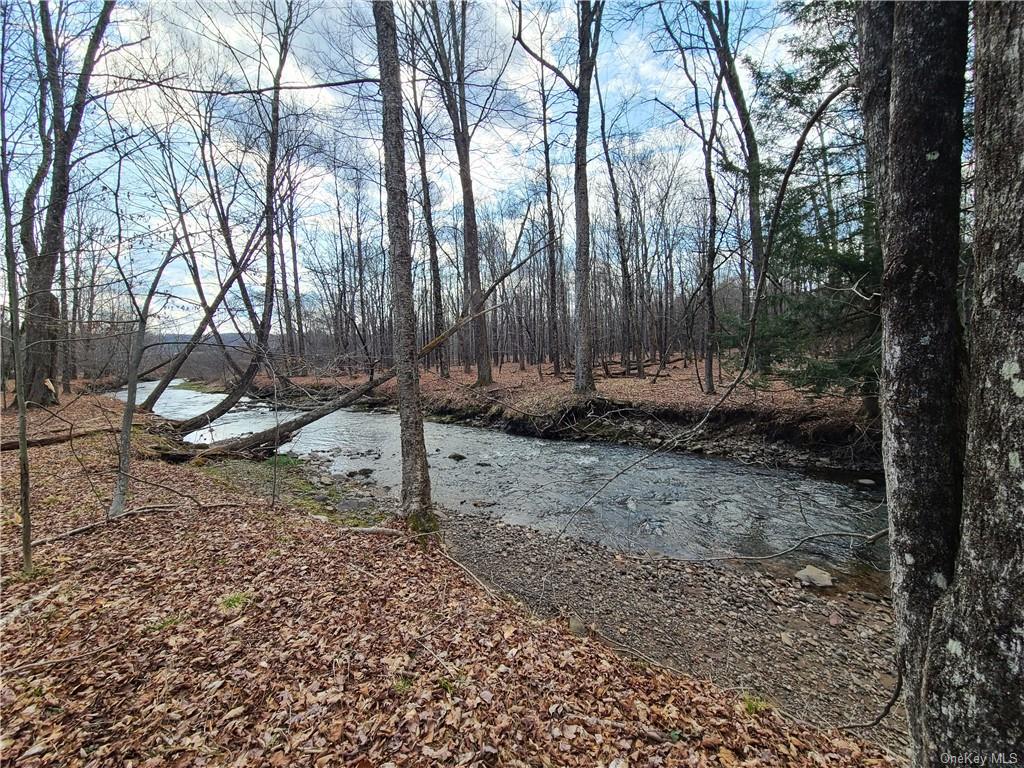 Mineral Springs Road White Sulphur Springs, NY 12787 - Photo 27 of 34