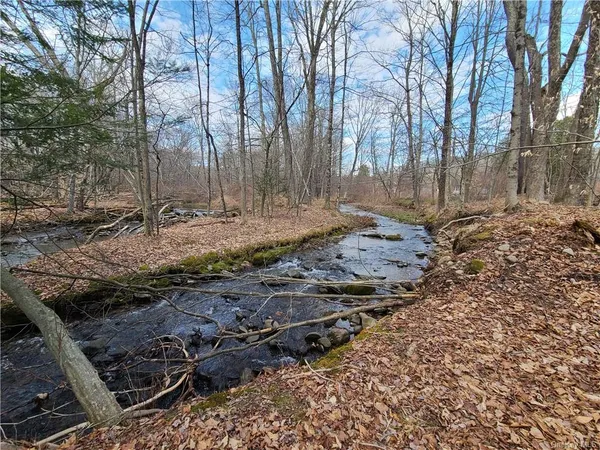 $294,500 | Mineral Springs Road, White Sulphur Springs, NY 12787