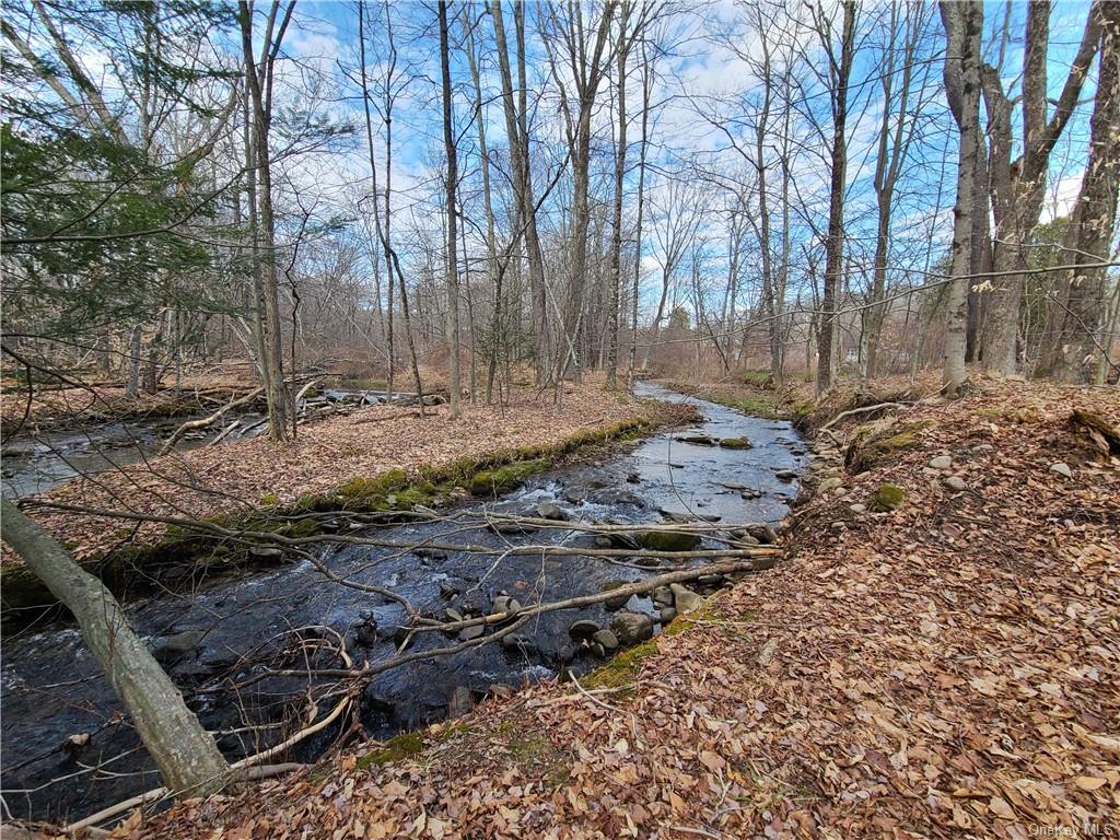 Mineral Springs Road White Sulphur Springs, NY 12787 - Photo 28 of 34