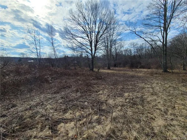 $294,500 | Mineral Springs Road, White Sulphur Springs, NY 12787
