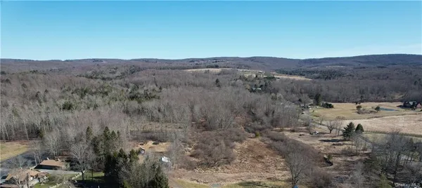 $294,500 | Mineral Springs Road, White Sulphur Springs, NY 12787