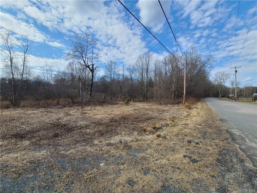 Mineral Springs Road White Sulphur Springs, NY 12787 - Photo 33 of 34