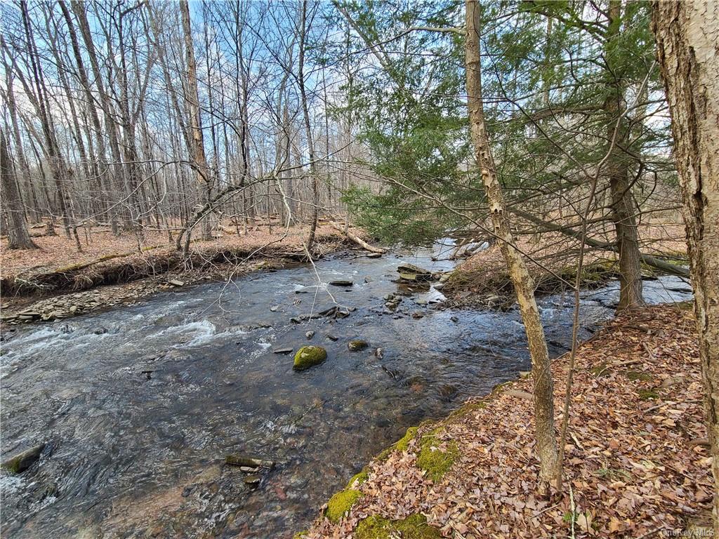 Mineral Springs Road White Sulphur Springs, NY 12787 - Photo 6 of 34