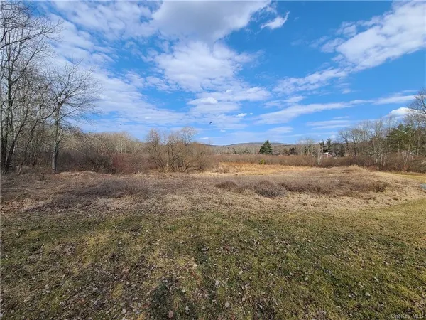 $294,500 | Mineral Springs Road, White Sulphur Springs, NY 12787