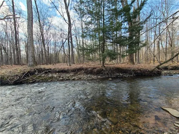 $294,500 | Mineral Springs Road, White Sulphur Springs, NY 12787