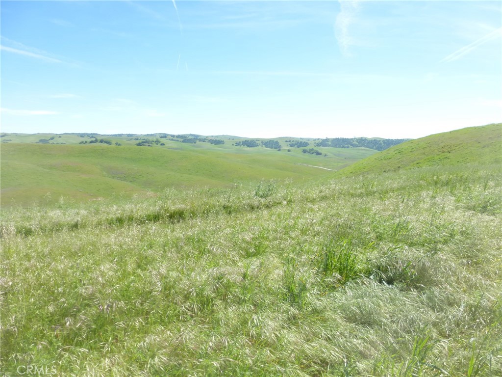 0 Douglas Road San Miguel, CA 93451 - Photo 53 of 75