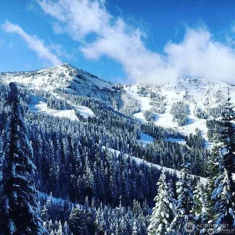 a view of a building