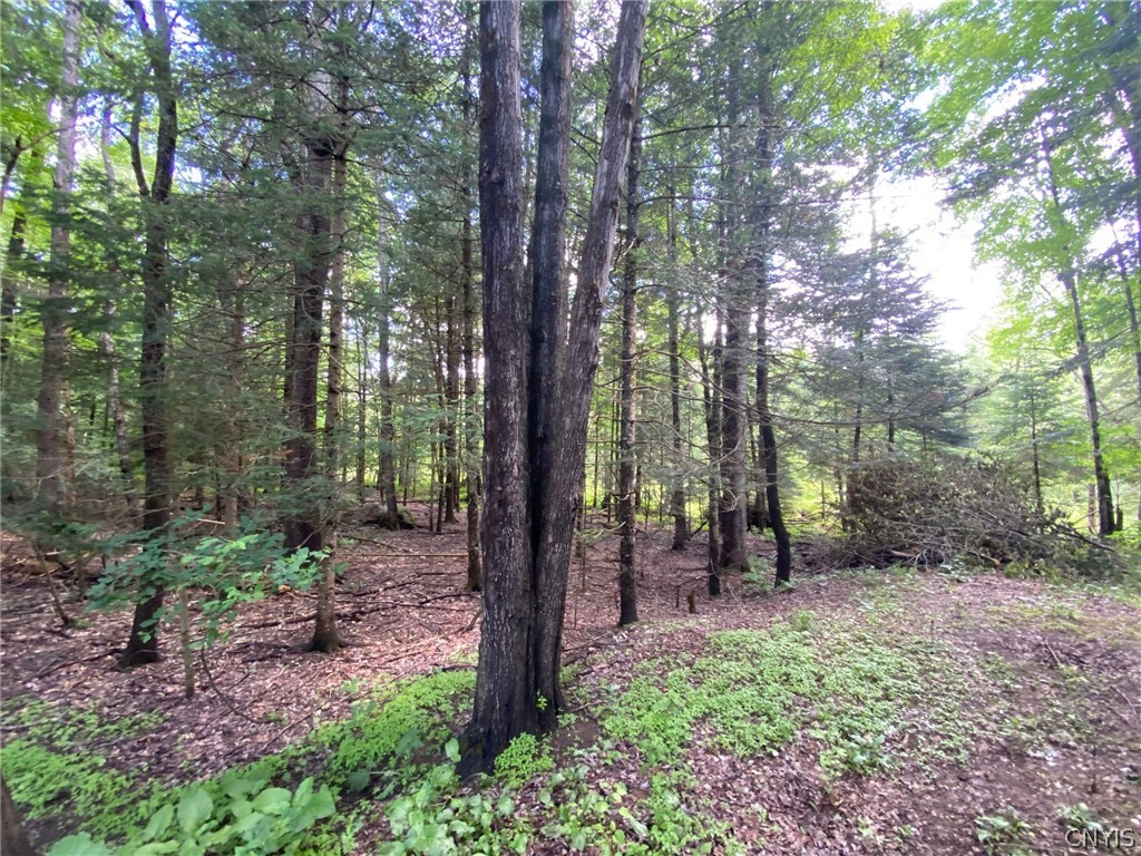 312 Mcclure Road Stratford, NY 13470 - Photo 33 of 34 Gallery Image 33