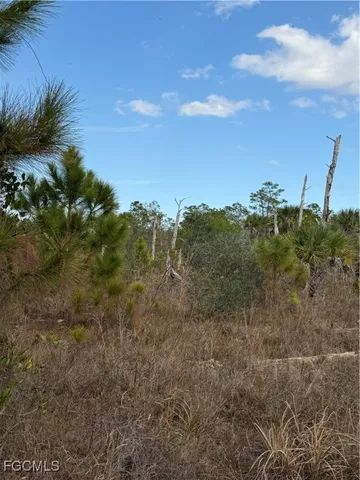 a view of a yard with wooden fence