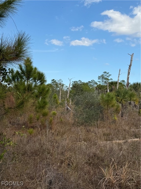 860 South Nogal Street Clewiston, FL 33440 - Photo 4 of 8 a view of a field