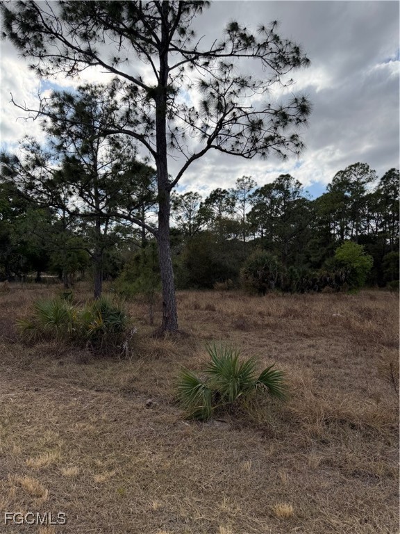 860 South Nogal Street Clewiston, FL 33440 - Photo 5 of 8 a view of a yard with wooden fence