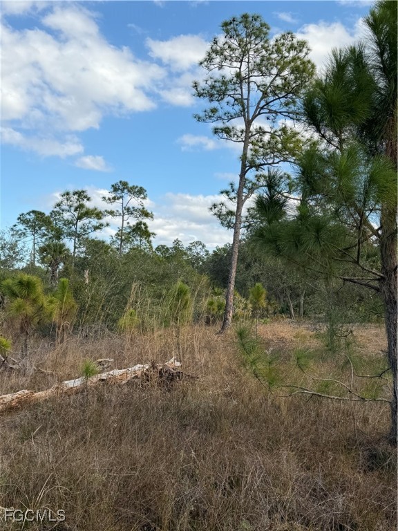 860 South Nogal Street Clewiston, FL 33440 - Photo 6 of 8 a view of a yard with trees in the background