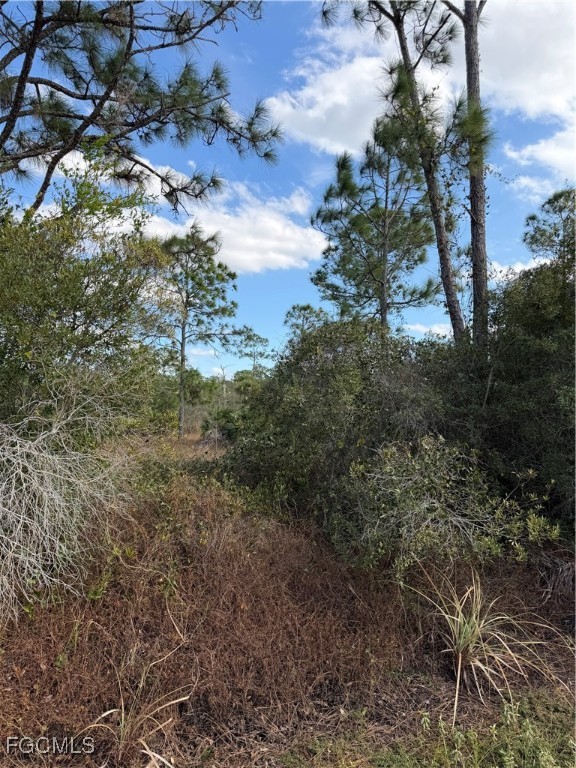 860 South Nogal Street Clewiston, FL 33440 - Photo 8 of 8 a big yard with lots of green space