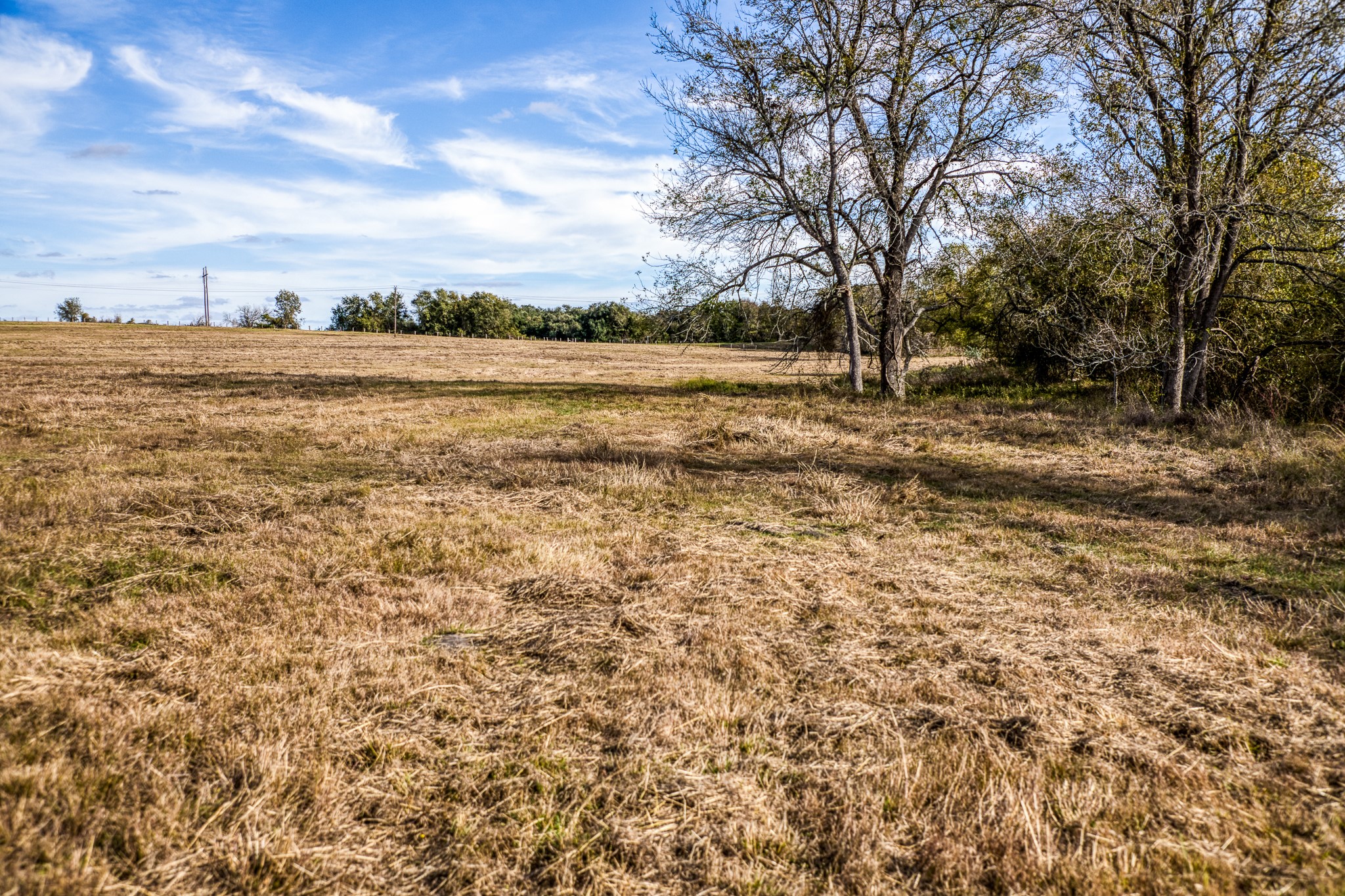 Lot 4 Sandy Hill Road Brenham, TX 77833 - Photo 4 of 13