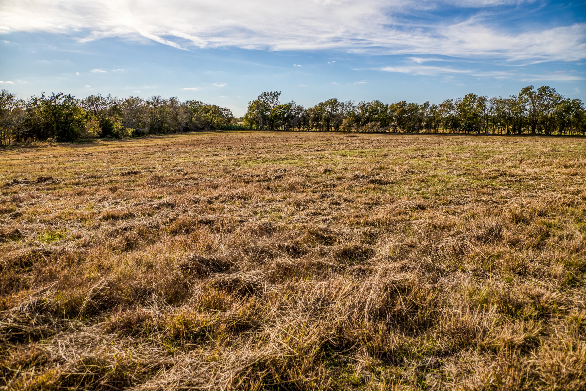 Lot 4 Sandy Hill Road Brenham, TX 77833 - Photo 6 of 13