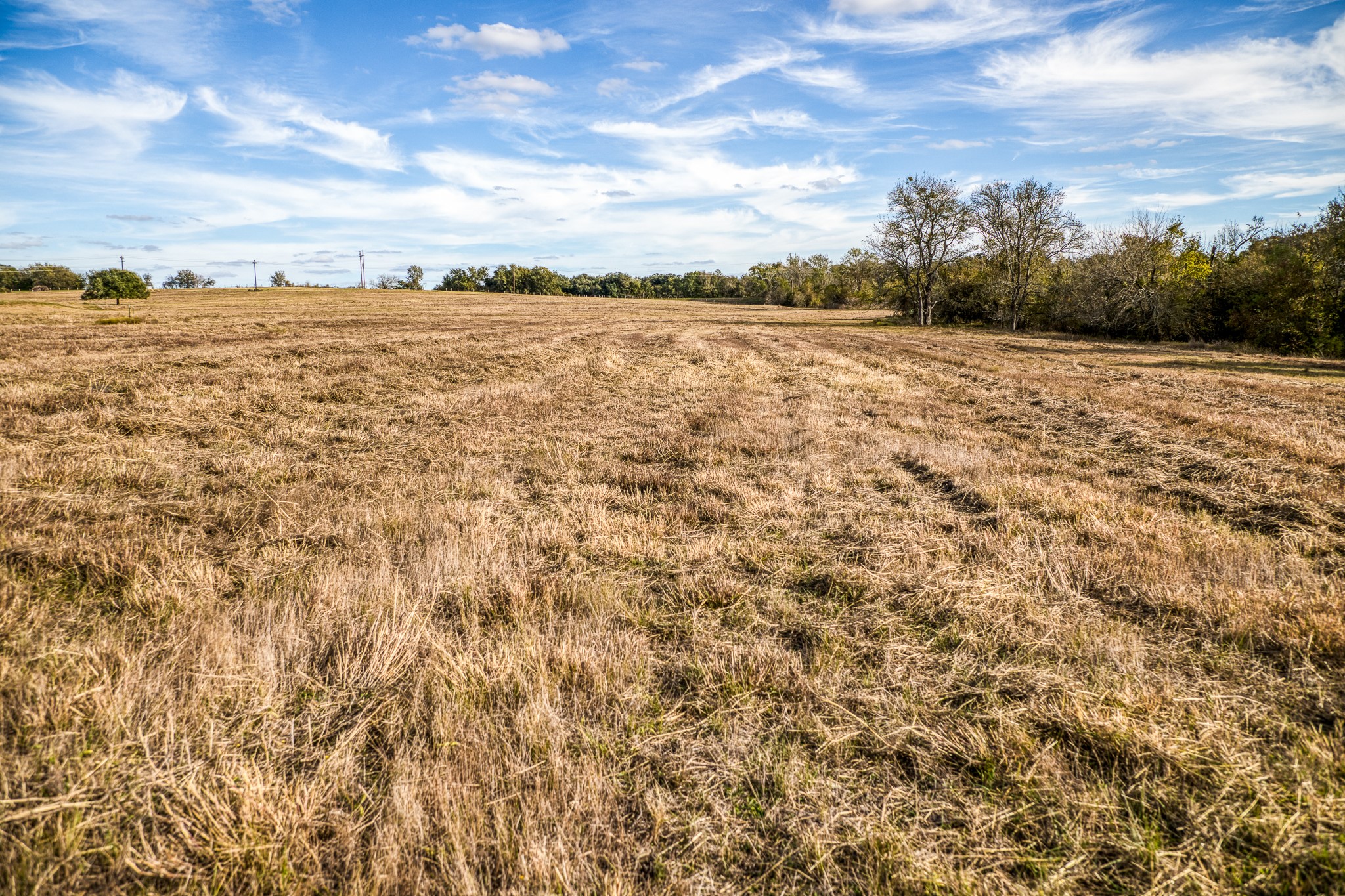 Lot 4 Sandy Hill Road Brenham, TX 77833 - Photo 7 of 13