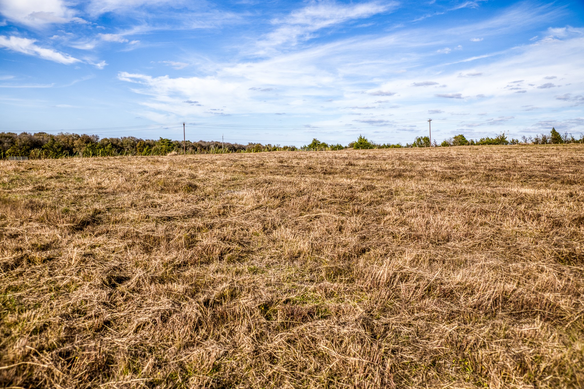 Lot 4 Sandy Hill Road Brenham, TX 77833 - Photo 8 of 13