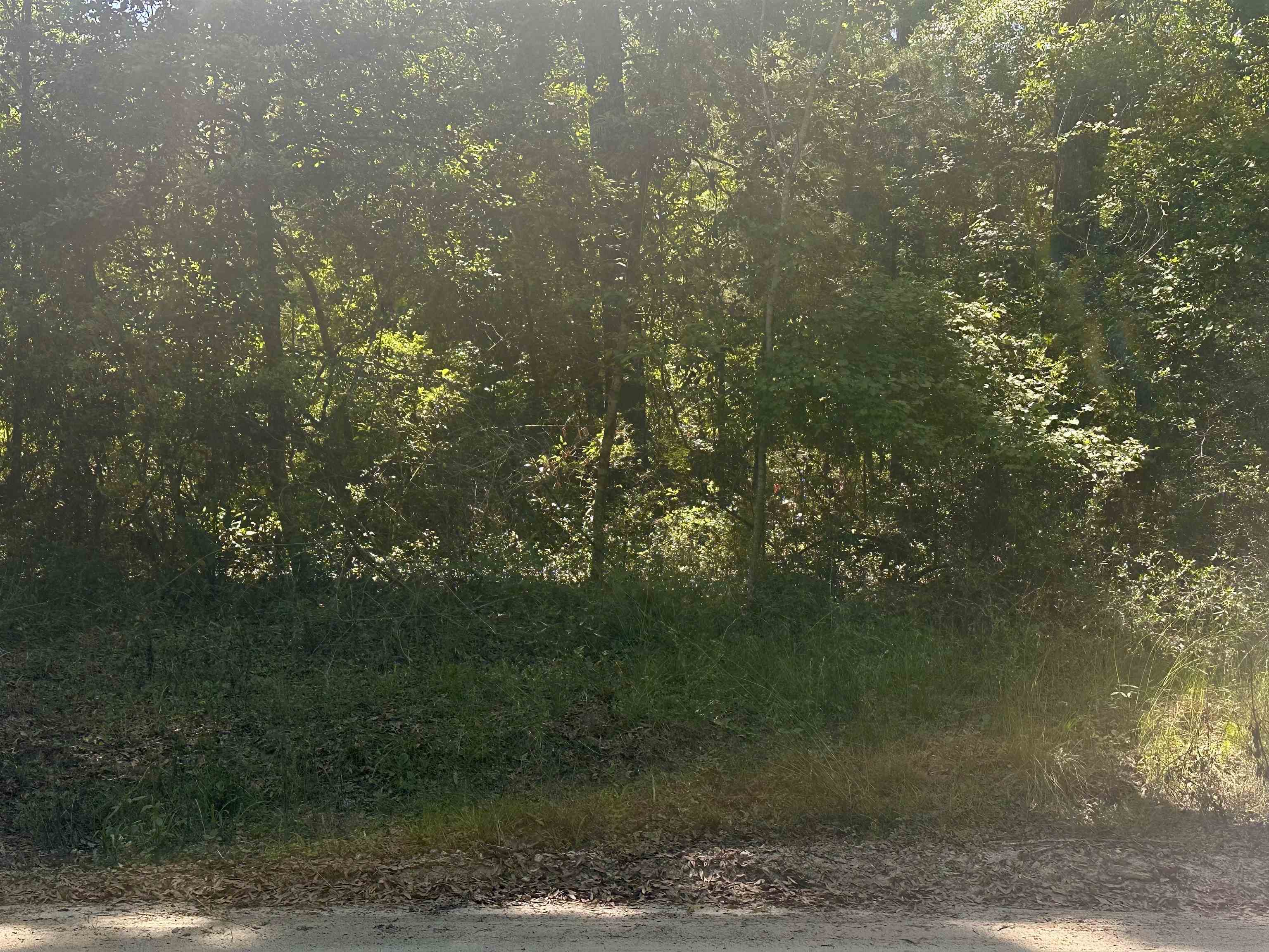 Chicopee Road Crawfordville, FL 32327 - Photo 2 of 3