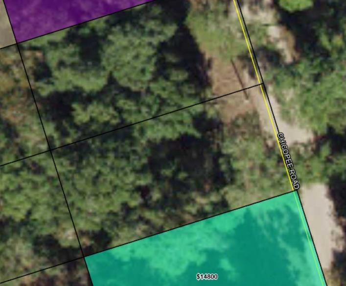 Chicopee Road Crawfordville, FL 32327 - Photo 3 of 3