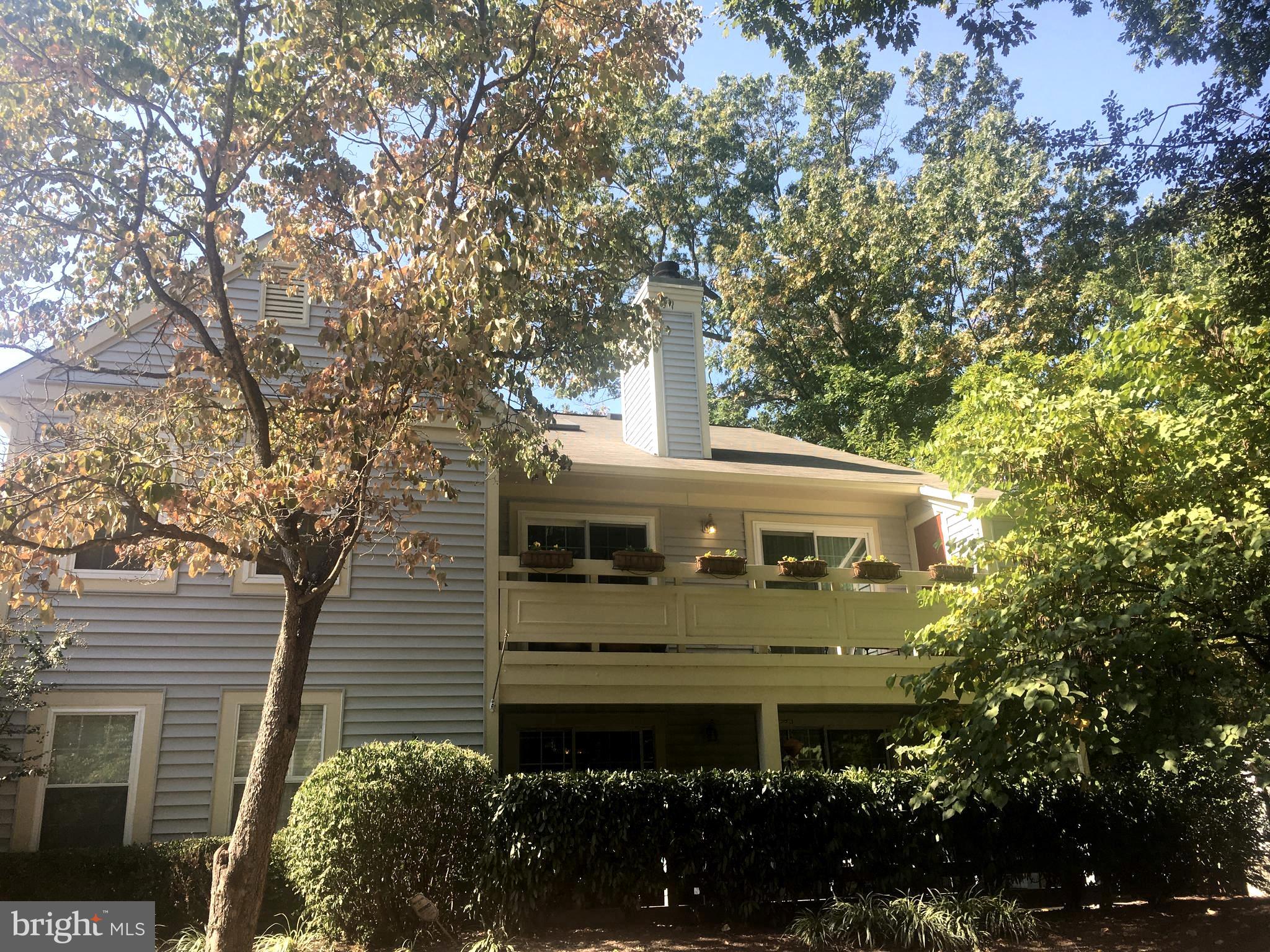 2220 Springwood Drive, Unit 111B L Reston, VA 20191 - Photo 3 of 28 Gallery Image 3