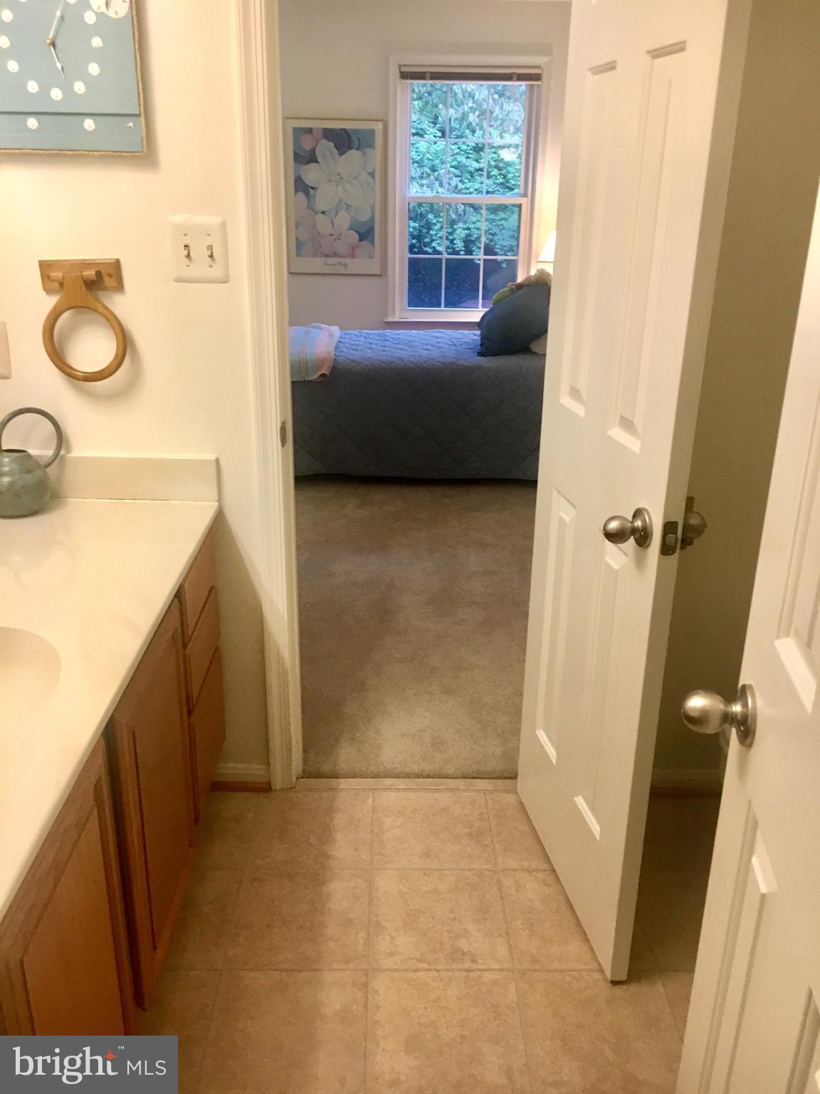2220 Springwood Drive, Unit 111B L Reston, VA 20191 - Photo 23 of 28 Gallery Image 23
