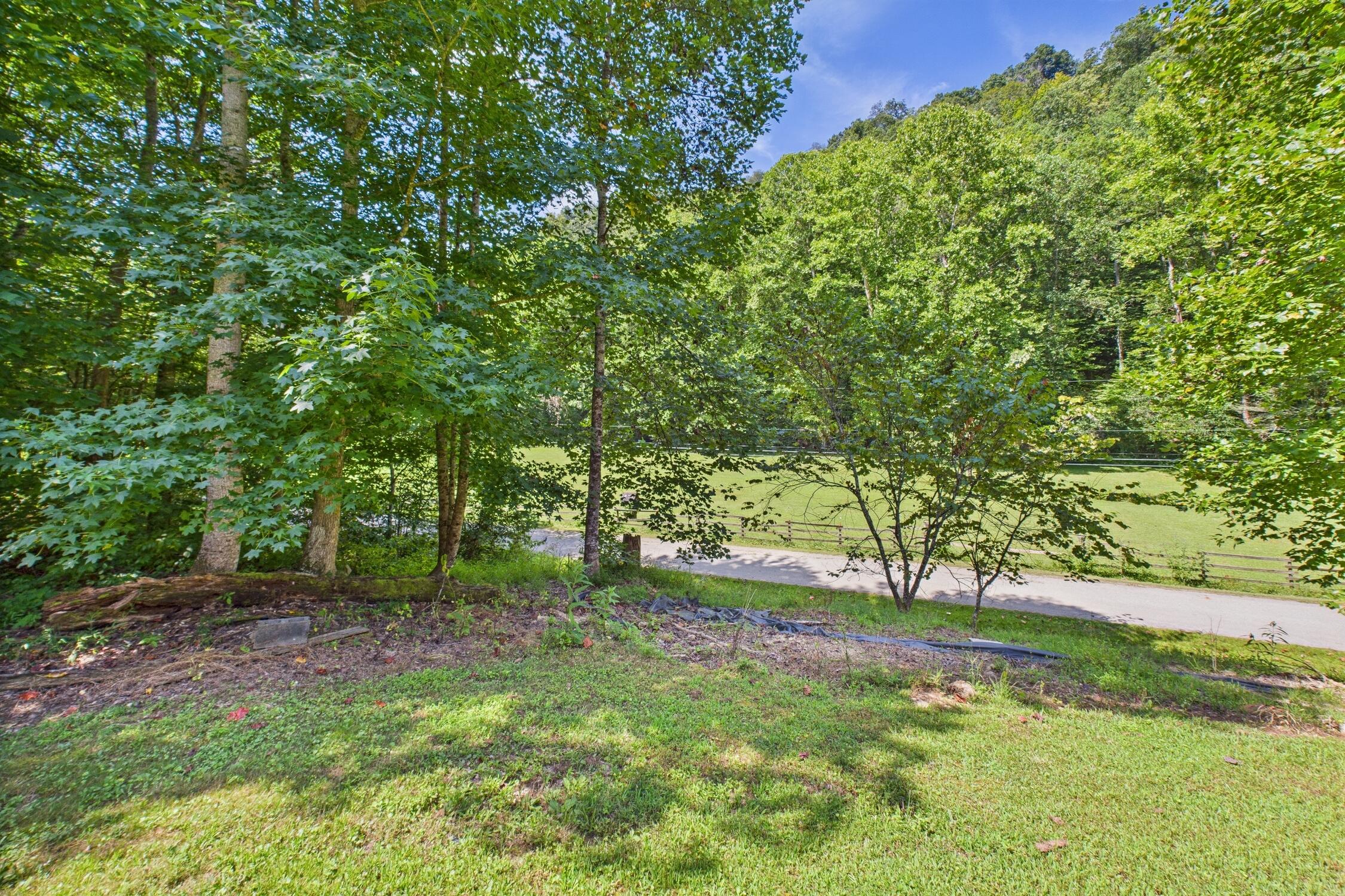 728 Punkin Hollow Road Stanton, KY 40380 - Photo 31 of 38 yard