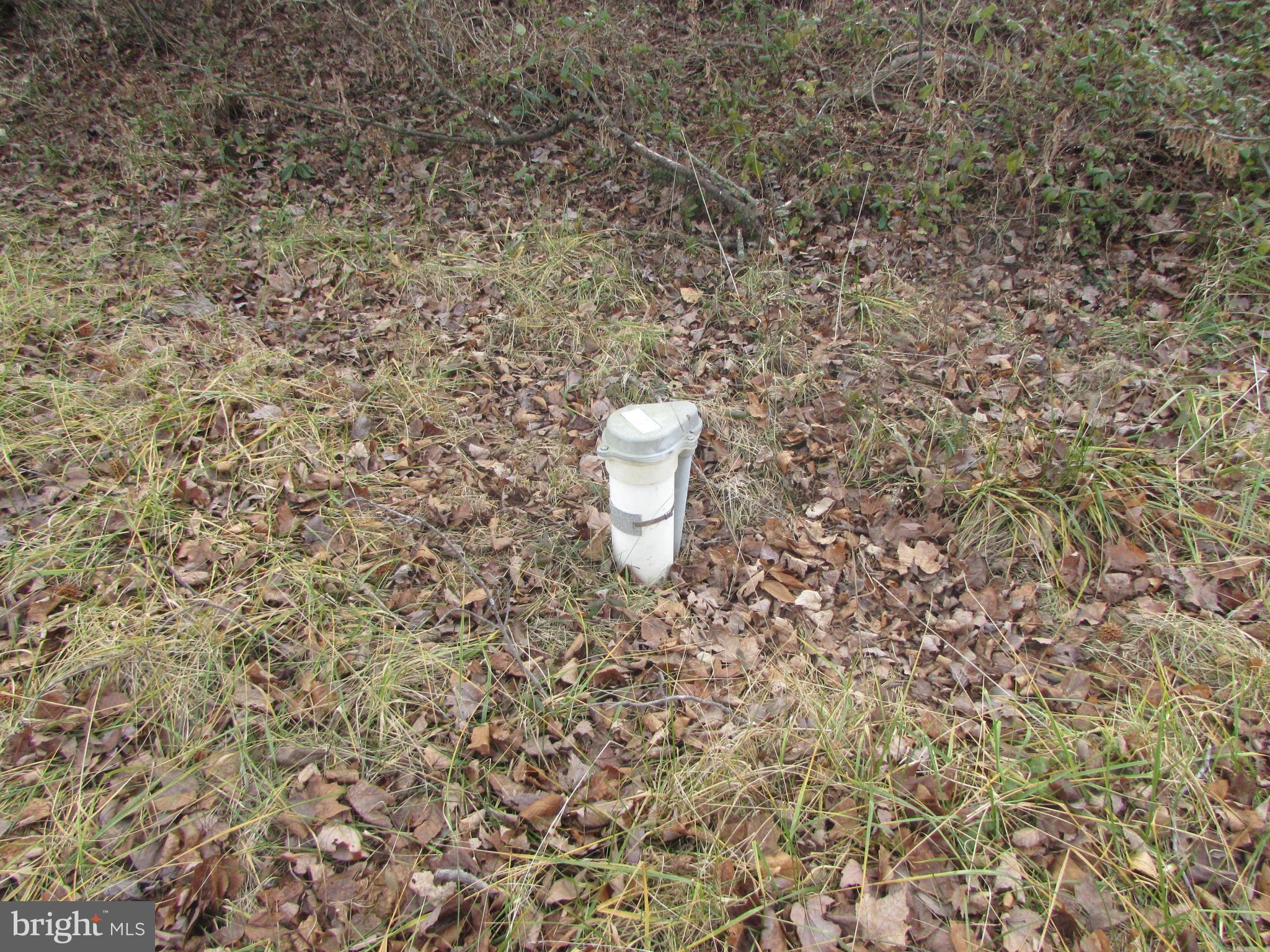 9428 Gannon Road Easton, MD 21601 - Photo 4 of 5 a close view of a shower in a bathroom