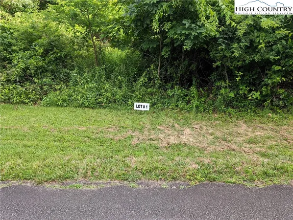 $18,000 | Lot 1 Briarwood Lane, Sparta, NC 28675