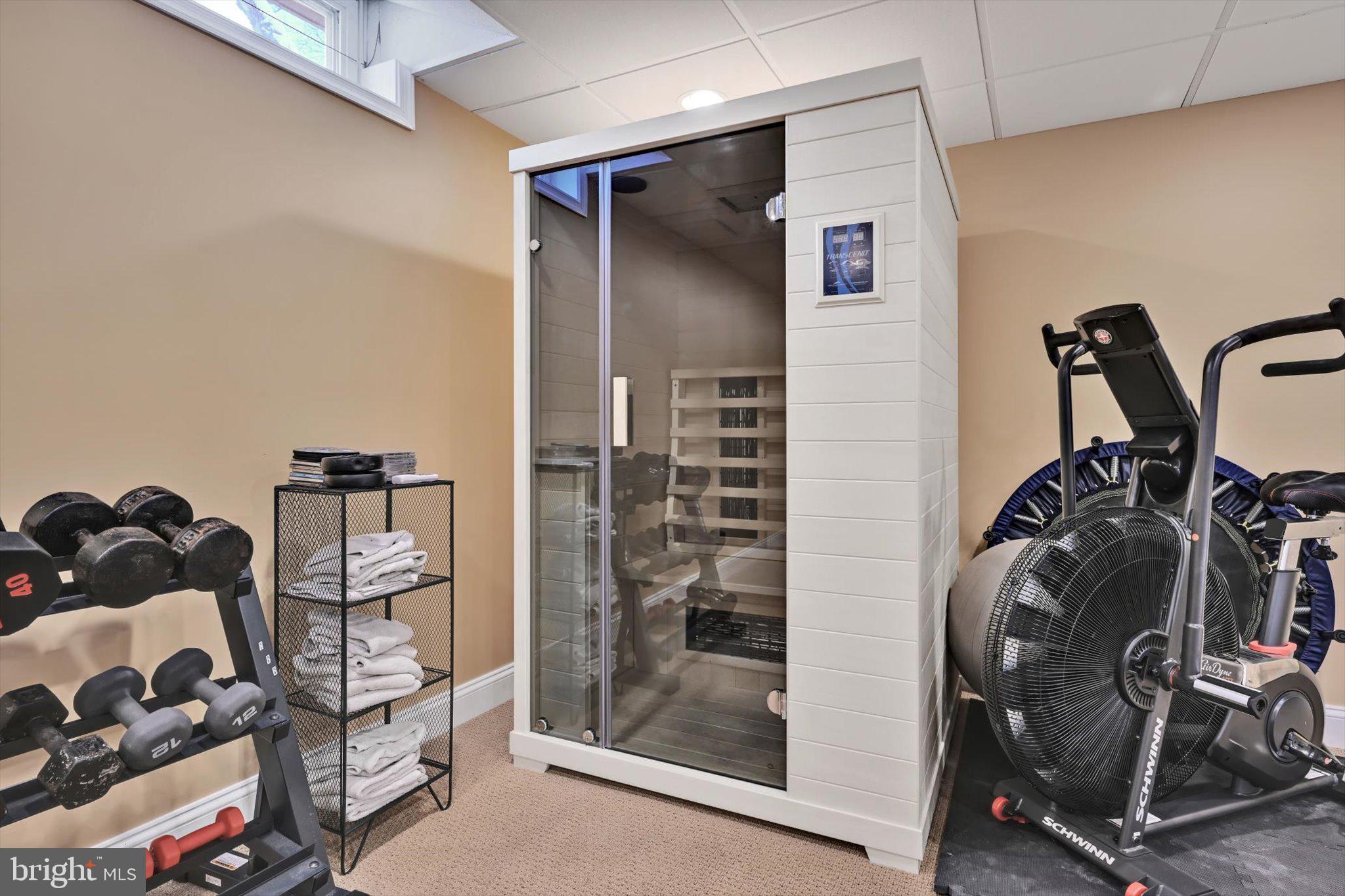 413 Partridgeberry Lane Chester Springs, PA 19425 - Photo 45 of 55 Basement w/Home Gym