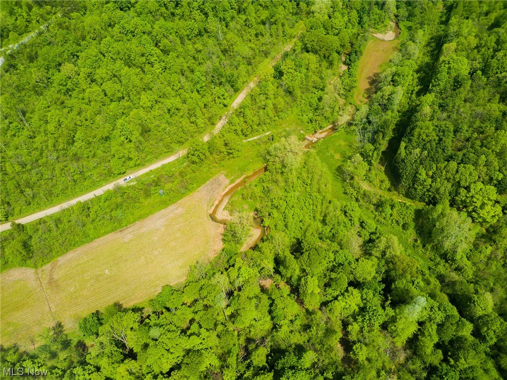 406 East Branch Road Lowell, OH 45744 - Photo 3 of 13 Gallery Image 3