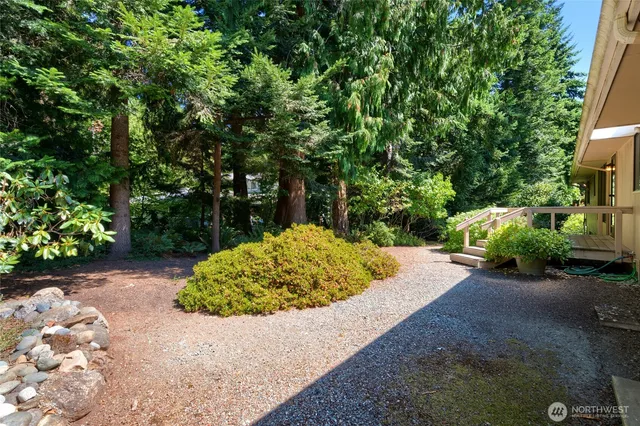 a view of a backyard with a fountain