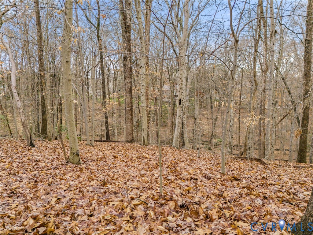 11240 Turnley Lane Midlothian, VA 23113 - Photo 15 of 15