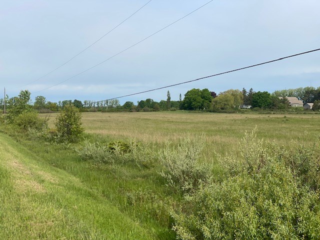 Lot 1 Lakeview Road Ellison Bay, WI 54210 - Photo 4 of 8