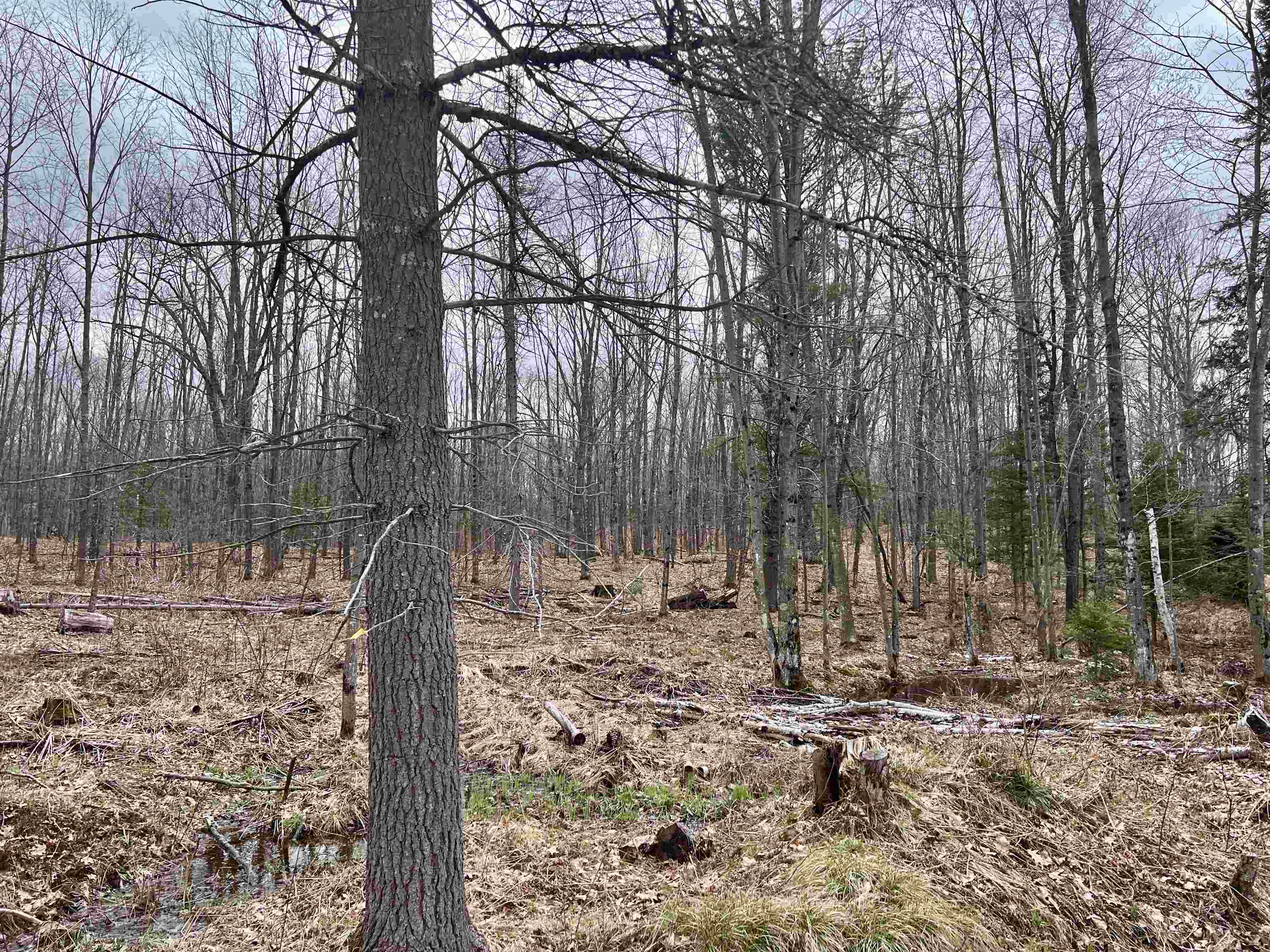 Rhett Lane, Unit 18 Wausaukee, WI 54177 - Photo 3 of 4