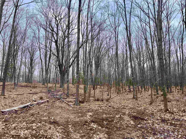 $31,900 | Rhett Lane, Unit 18, Wausaukee, WI 54177