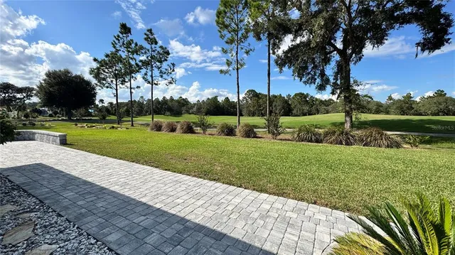a view of a park with large trees