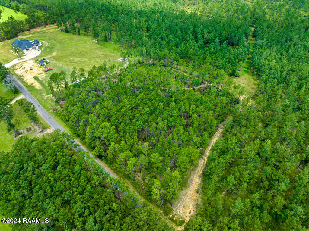 0 Horace Johnson Road Pitkin, LA 70656 - Photo 11 of 23 10