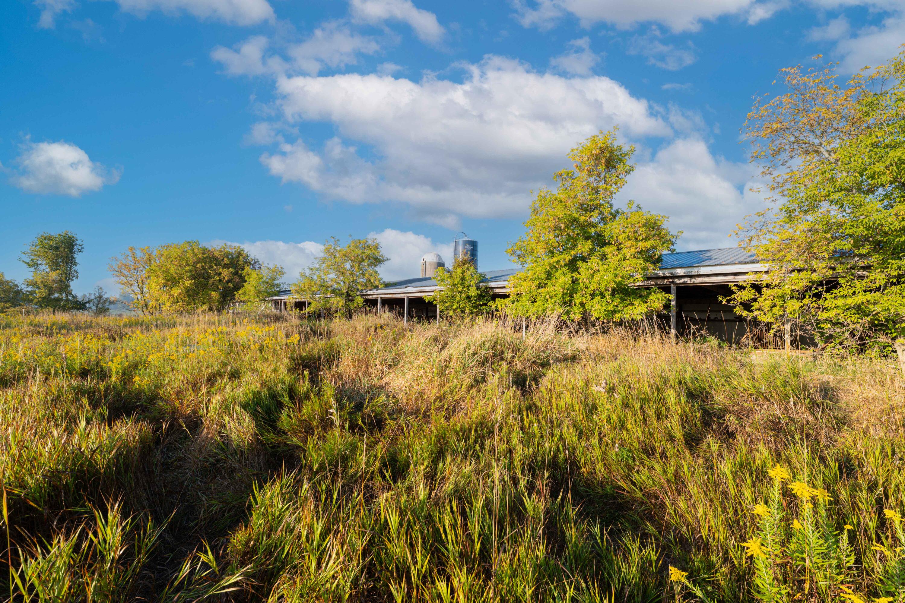 400 19 Mile Road Marion, MI 49665 - Photo 8 of 13 400 19 Mile Rd-3