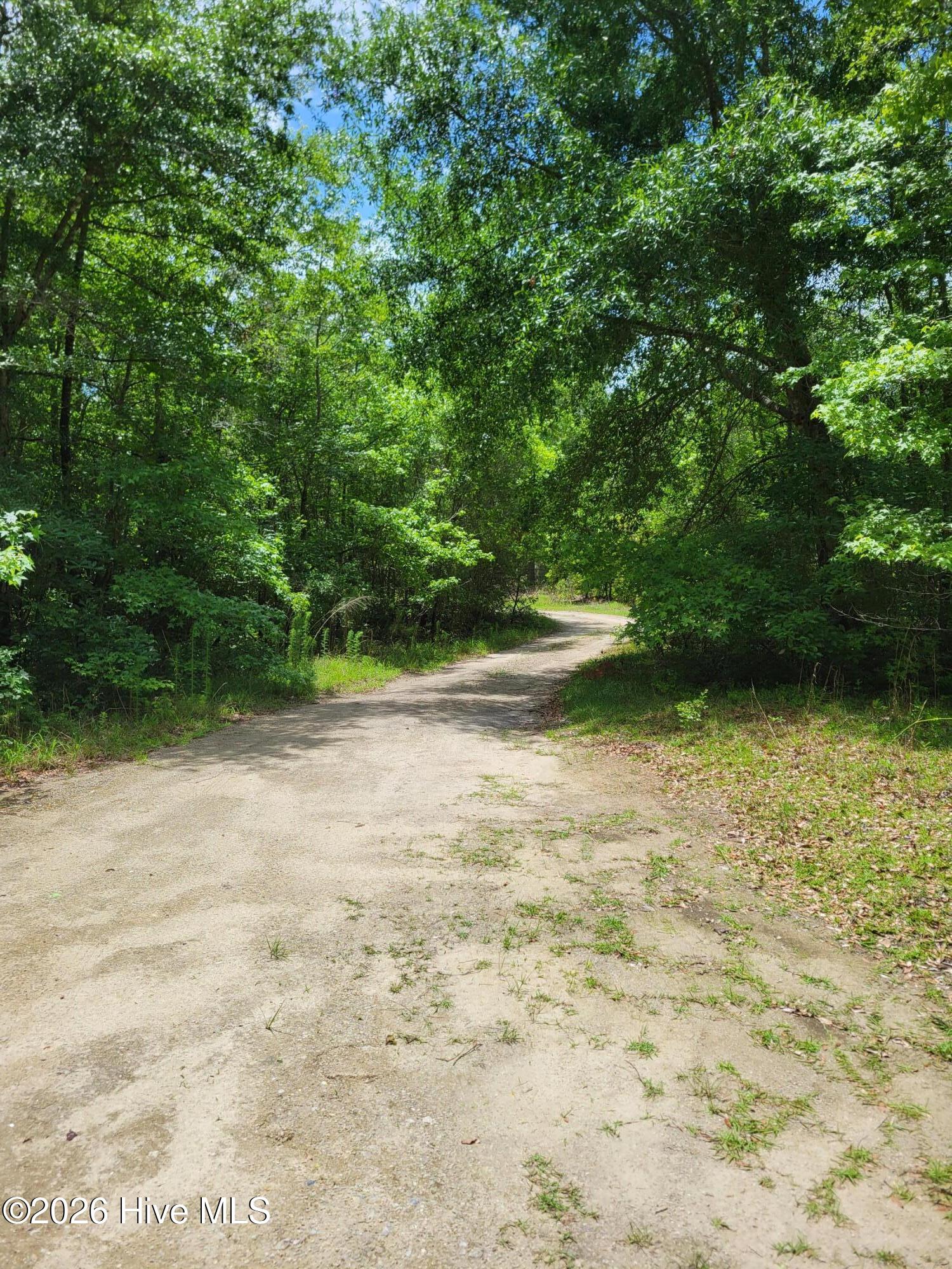 367 Battleground Road Atkinson, NC 28421 - Photo 14 of 14 driveway