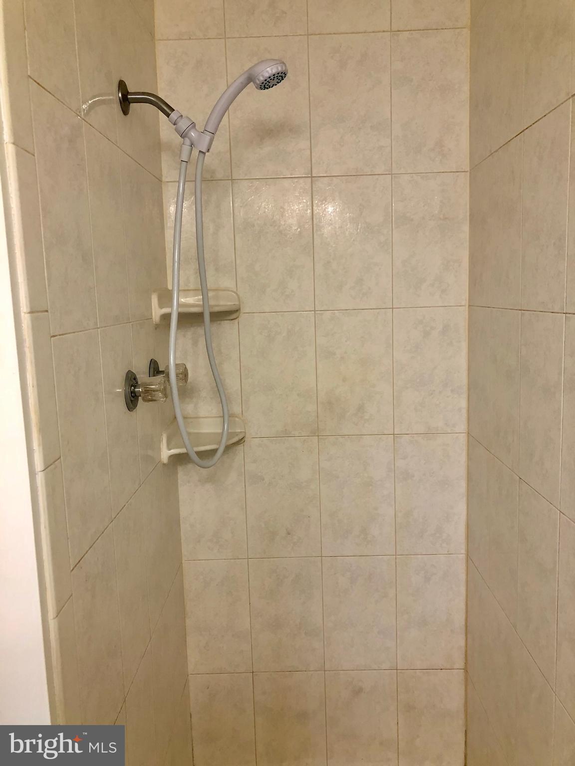 22580 Point Lookout Road Leonardtown, MD 20650 - Photo 7 of 19 Master Shower