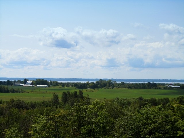 4476 Powell Road Kewadin, MI 49648 - Photo 24 of 31 1810637-33.JPG
