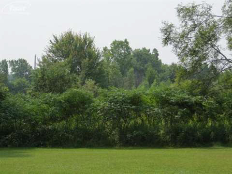 6320 East Lake Road Millington, MI 48746 - Photo 19 of 20 20415373-18.JPG