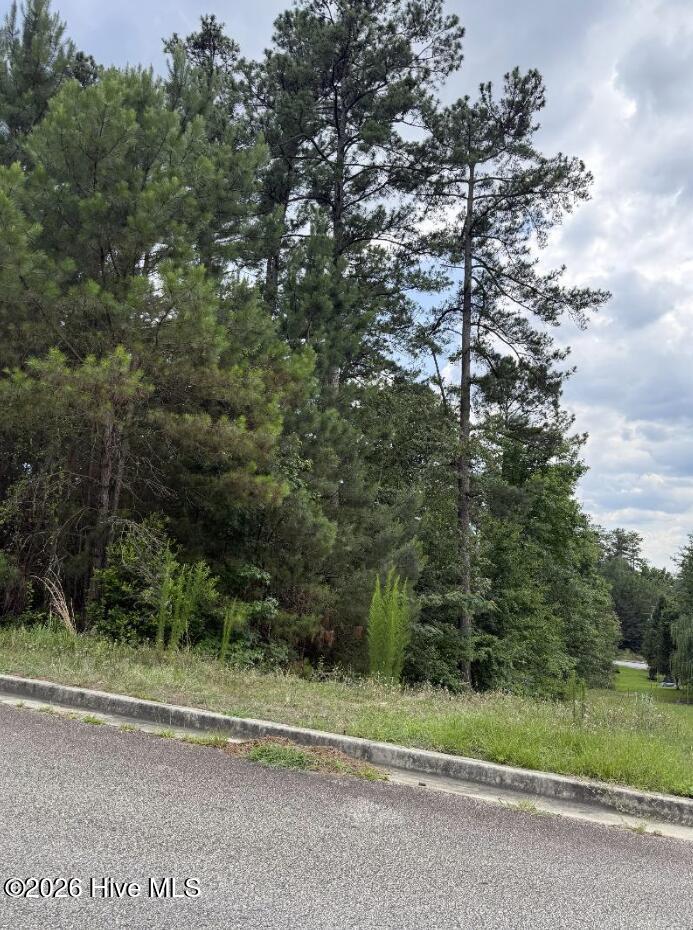 3946 Carolyn Street Augusta, GA 30909 - Photo 1 of 4