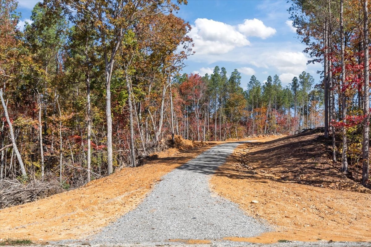 0 Birdsong Road Holladay, TN 38341 - Photo 12 of 47 a view of a yard with large trees