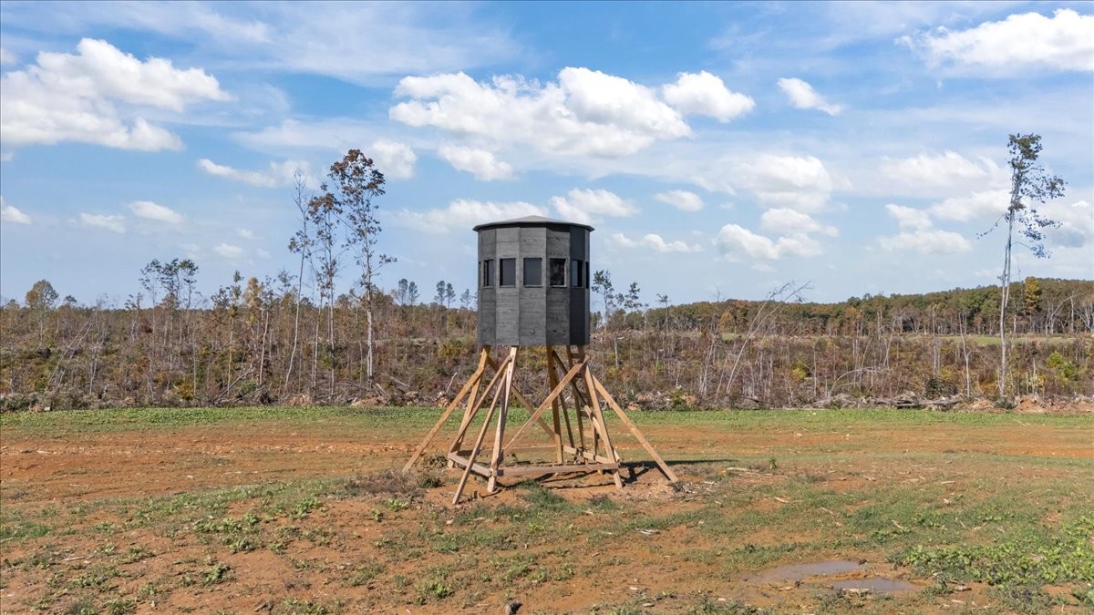0 Birdsong Road Holladay, TN 38341 - Photo 13 of 47