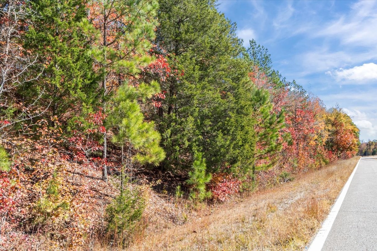 0 Birdsong Road Holladay, TN 38341 - Photo 14 of 47 a view of a garden with plants and large trees