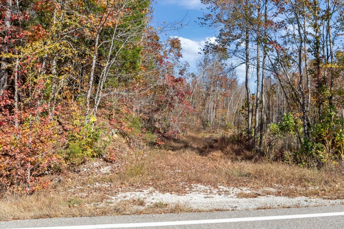 0 Birdsong Road Holladay, TN 38341 - Photo 15 of 47